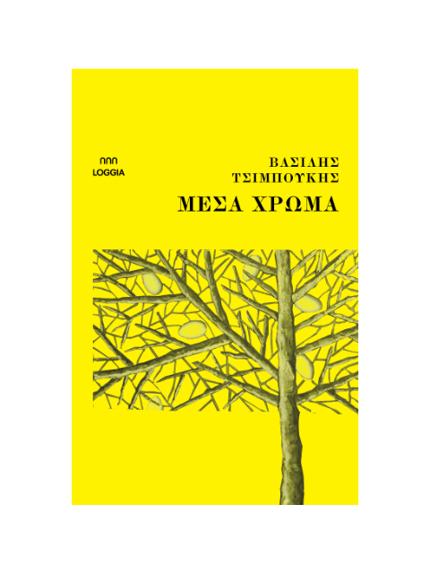 ΜΕΣΑ ΧΡΩΜΑ - ΤΣΙΜΠΟΥΚΗΣ ΒΑΣΙΛΗΣ | ISBN: 9786185855079