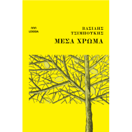 ΜΕΣΑ ΧΡΩΜΑ - ΤΣΙΜΠΟΥΚΗΣ ΒΑΣΙΛΗΣ | ISBN: 9786185855079